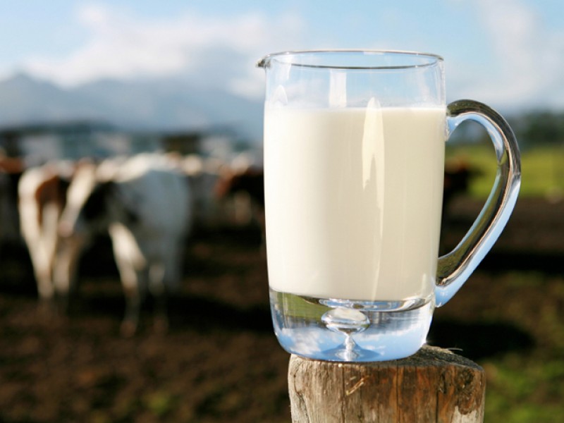 Productores de leche cierran el año con pérdidas