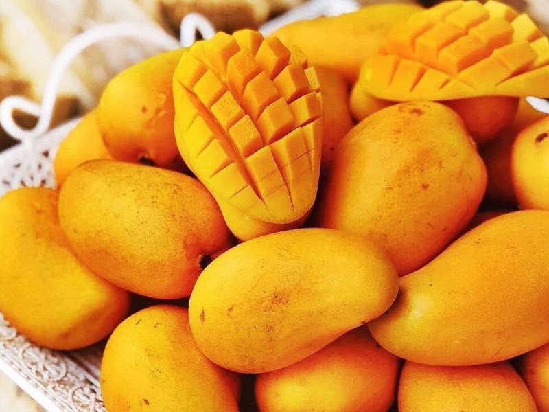 Productores de mango ataulfo piden inversión para este sector