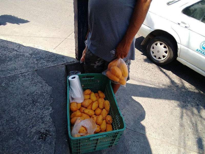 Productores de mango, ranchean producción ante bajas ventas