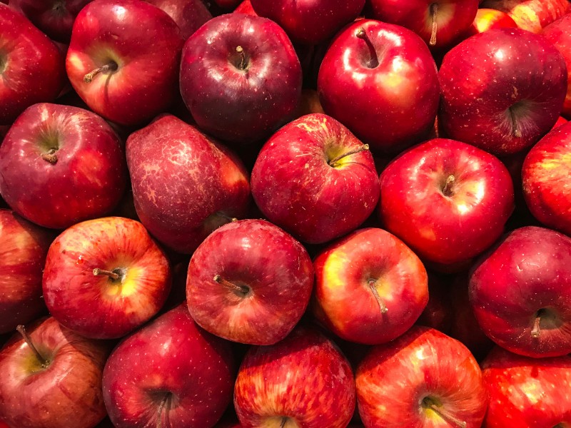 Productores de manzana en Durango pierden la mitad de su cosecha