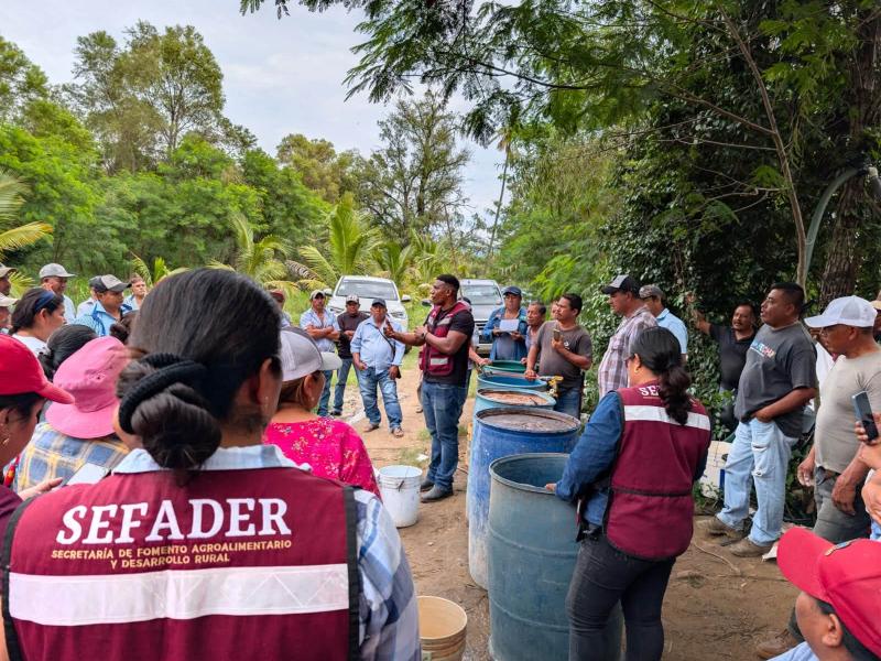 Productores de Nejapa de Madero reciben capacitación para combatir plagas agrícolas