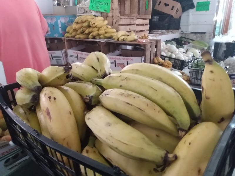 Productores de plátano sin apoyos por 