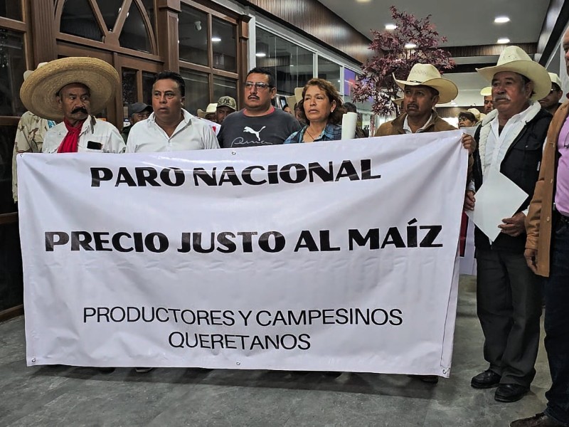 Productores de Querétaro esperan respuesta del gobierno federal sobre precio del maíz