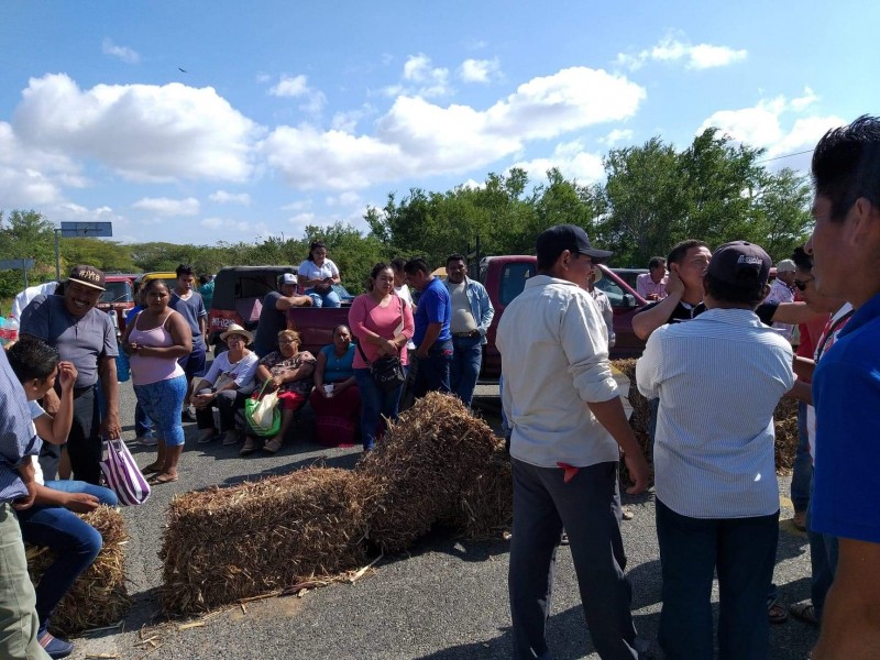 Productores de sorgo y maíz advierten bloqueos