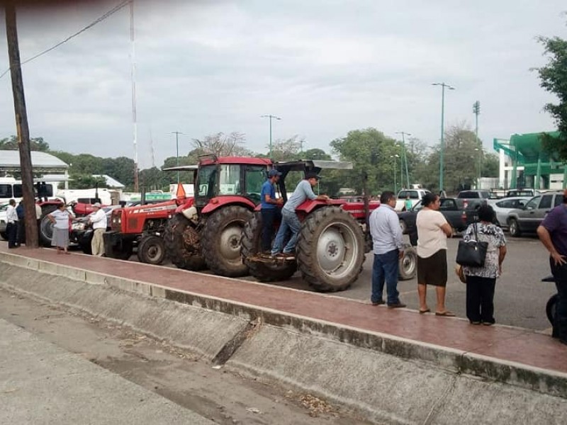 Productores de soya exigen cumplimiento de pagos