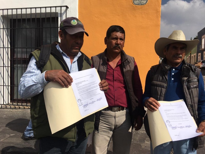 Productores de Tepeyahualco sufren estragos por sequia