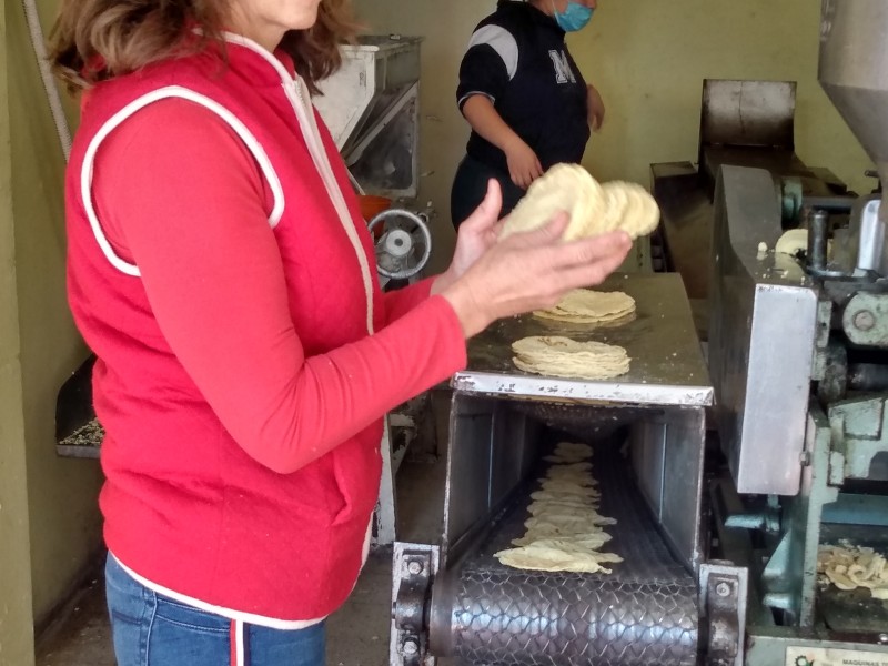 Productores de Tortilla en EDOMEX se quedan sin maíz