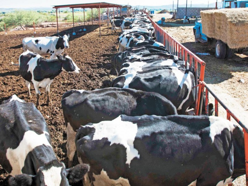 Productores del campo quedarán a merced de prestamistas