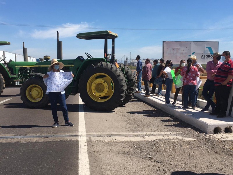 Productores del Carrizo agendan reunión con Segalmex para definir pagos