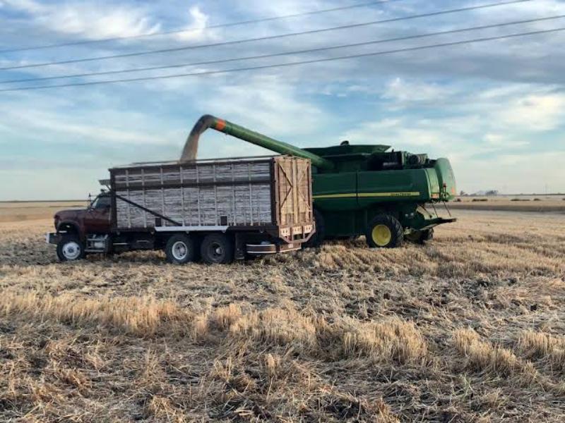 Productores del Fuerte Mayo reclaman apoyos y alertan por crisis del campo