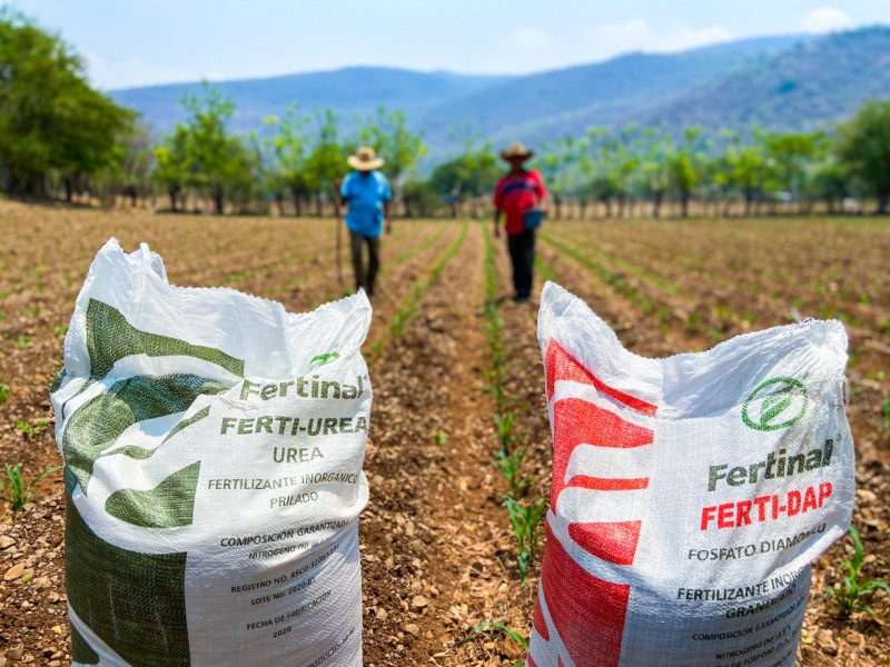 Productores en Chiapas sufren alza en precios de insumos