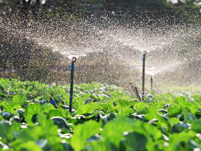 Productores en incertidumbre por cambios en Conagua, temen retrasos en obras