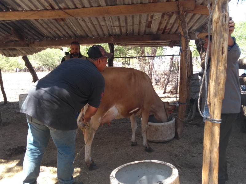 Productores esperan reglas claras de programas federales