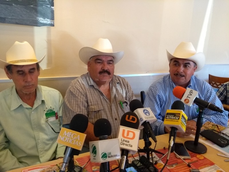 Productores exigen precio objetivo para el frijol