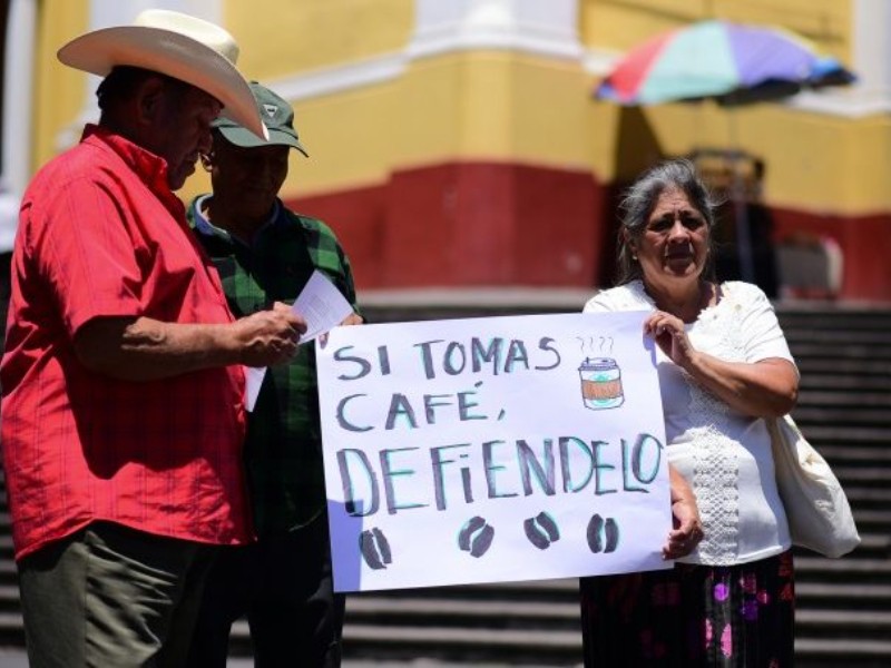 Productores exigen precios justos y aprobación de la Ley del Café