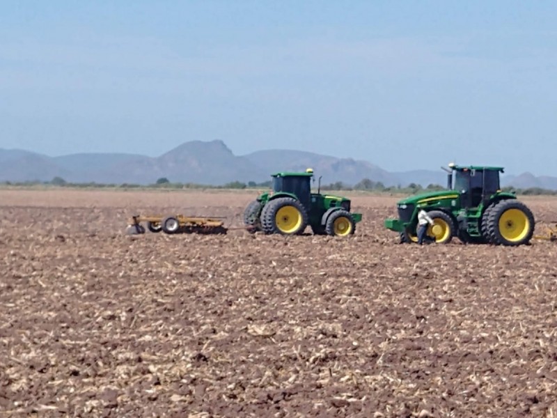 Productores exigen que gobierno regule precio de insumos agrícolas