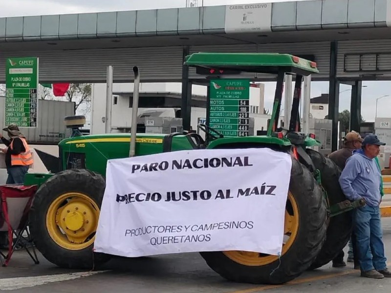 Productores locales de maíz piden precio justo con SADER Productores locales de maíz piden precio justo con SADER