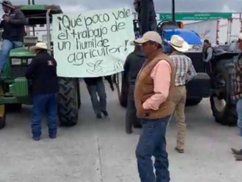 Productores locales mantienen presencia en caseta de palmillas Productores locales mantienen presencia en caseta de palmillas