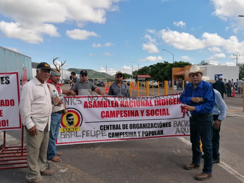 Productores logran diálogo con Sader tras bloqueo en México 15