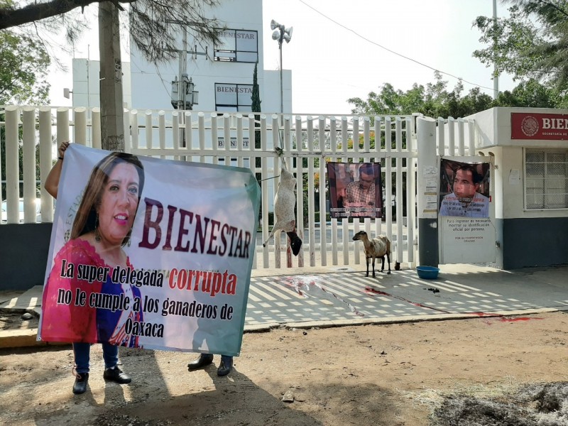 Productores oaxaqueños exigen a delegada de Bienestar apoyos al campo