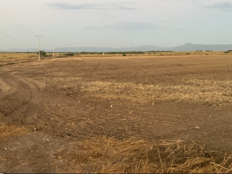 Productores piden declaratoria de emergencia por sequía en Sonora