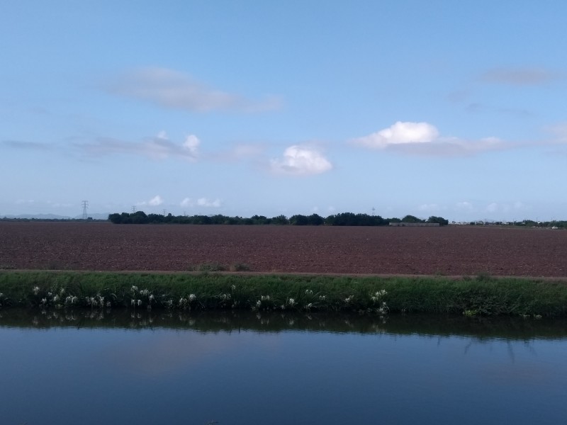 Productores podrían lograr ahorros en riegos con lluvias