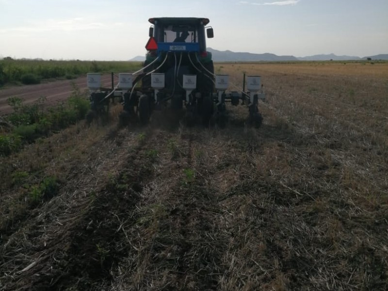 Productores preparan terrenos para el próximo ciclo agrícola