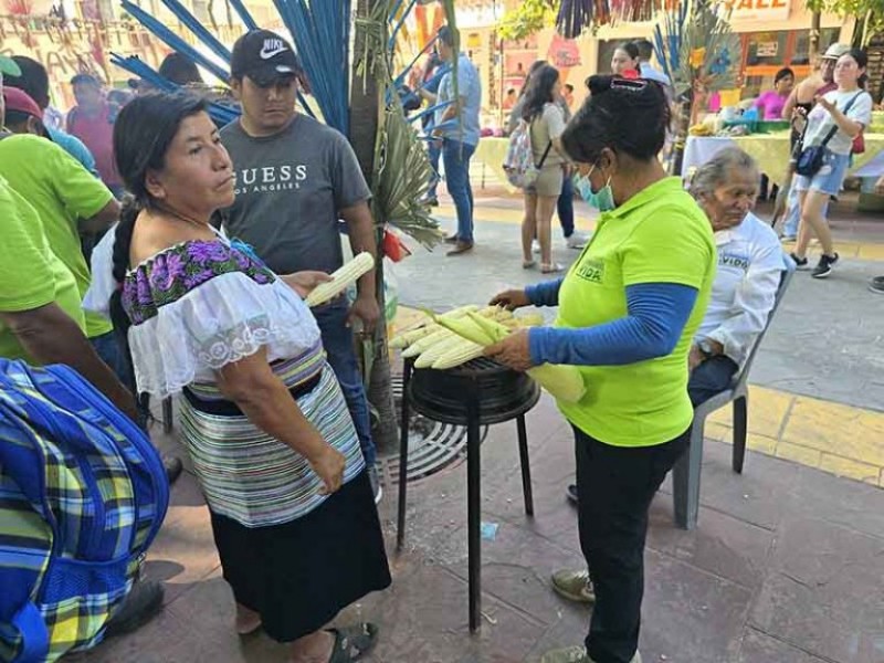 Productores realizan Festival del Elote en Palenque