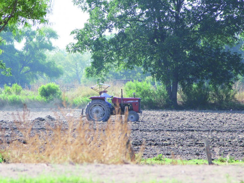 Productores rurales dependen de la caída de lluvias