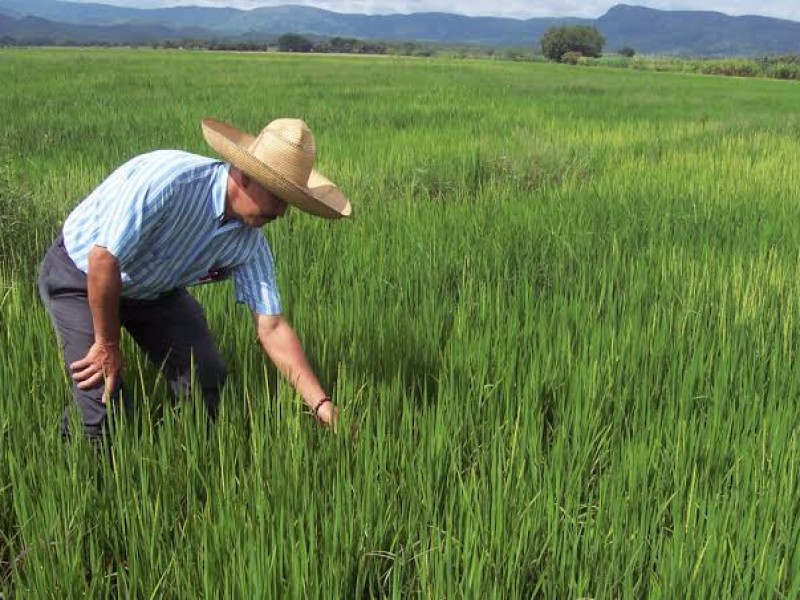 Productores rurales sin doble discurso