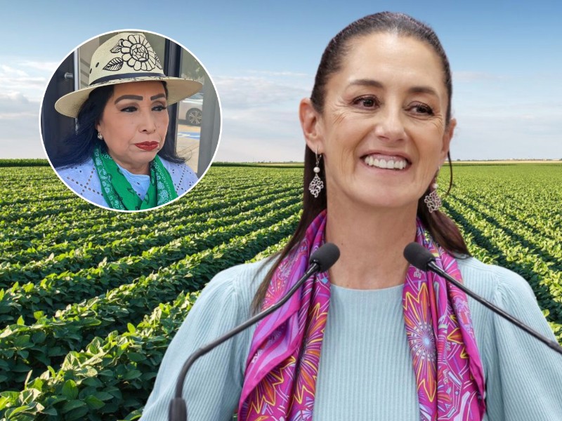 Productores Sinaloenses buscarán acercamiento con Claudia Sheinbaum