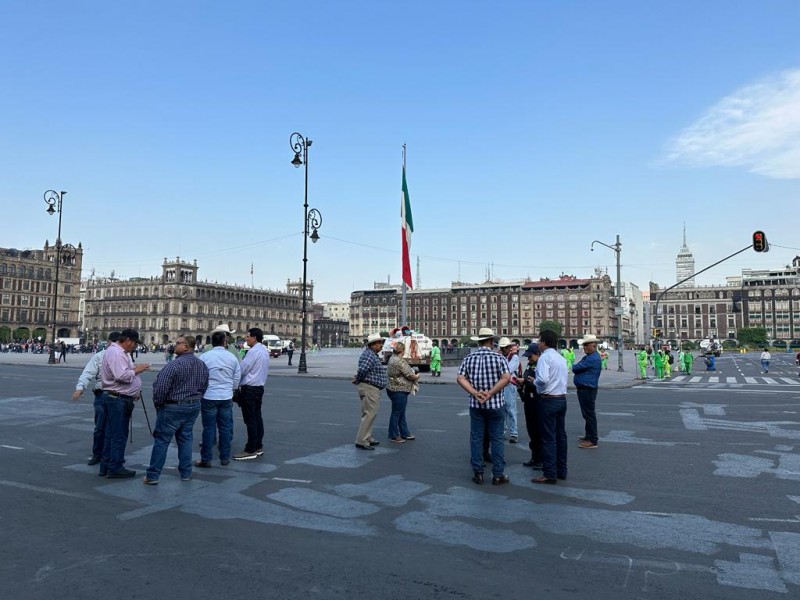 Productores ya están en Palacio Nacional en CDMX