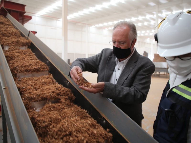 Productos derivados de coco se producirán en Querétaro