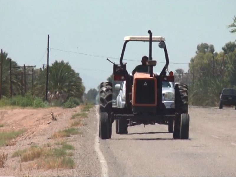 Productos icónicos del campo lagunero sufren durante contingencia