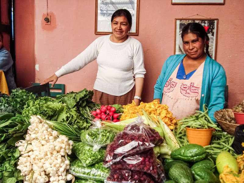 Productos orgánicos de México hasta Canadá