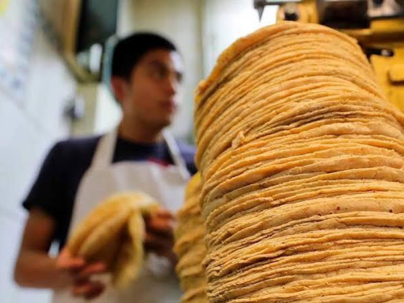 Profeco podría sancionar tortillerías de Sinaloa si aumentan precio
