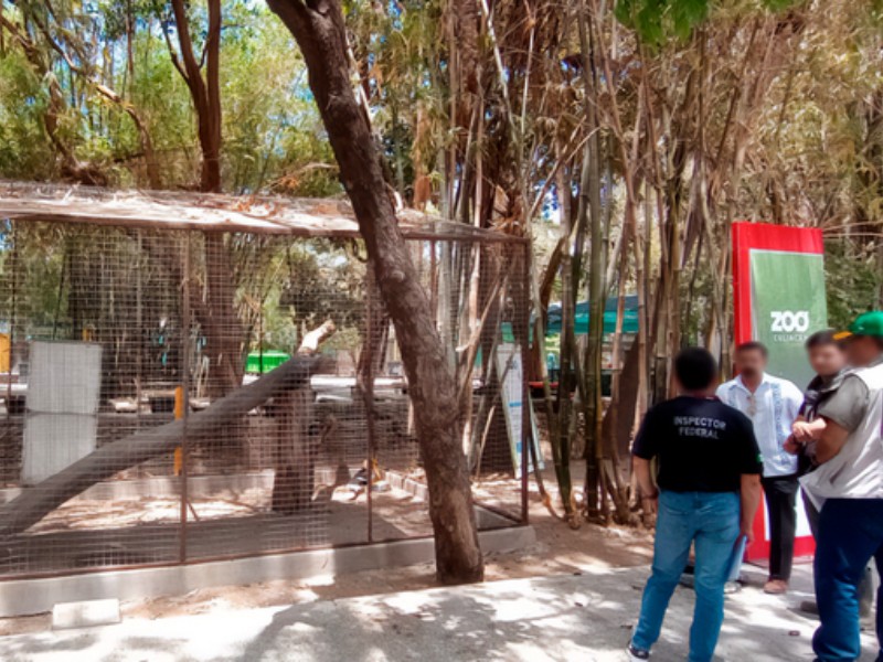 PROFEPA asegura a 119 animales del Zoológico de Culiacán