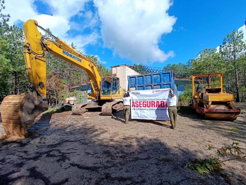 Profepa clausura obras ilegales en zona boscosa de San Cristóbal