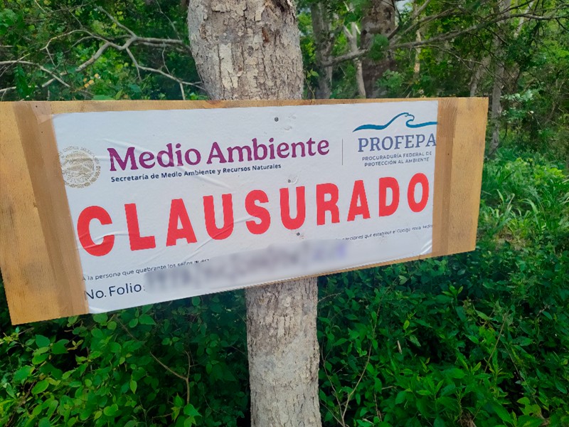Profepa clausura predios por impacto ambiental en El Jobo