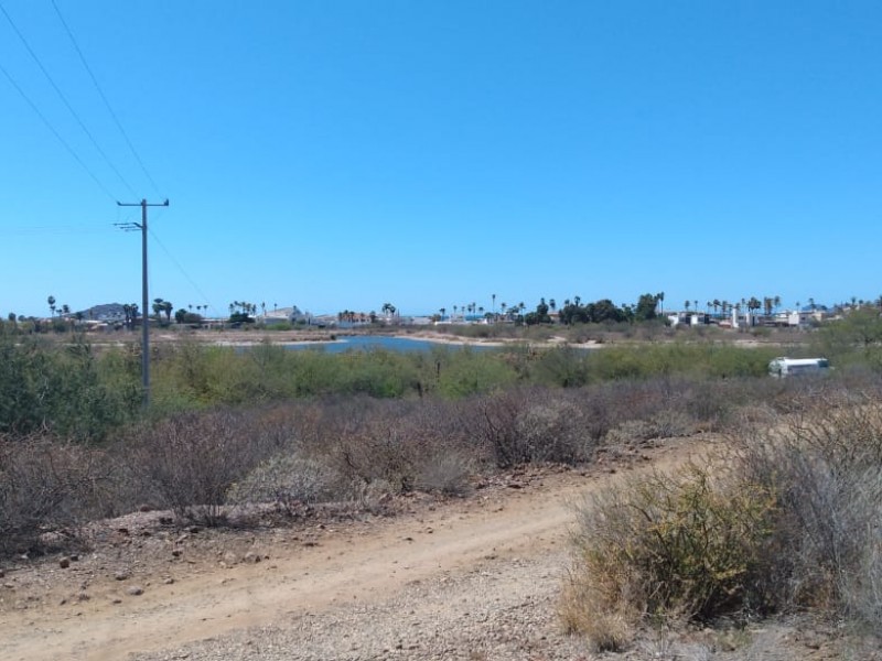 Profepa multará por ecocidio en Bahía Bacochibampo