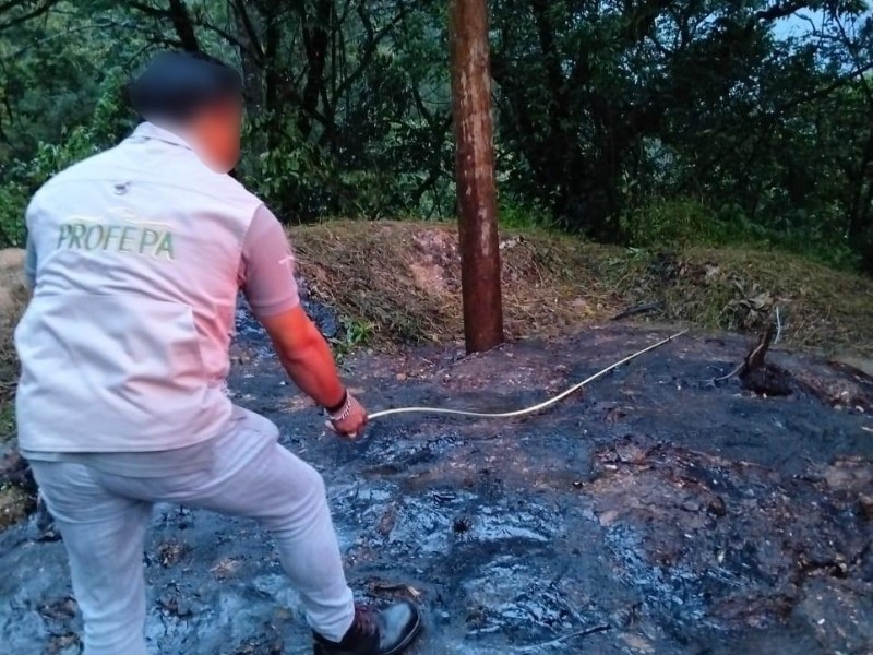 Profepa ordena limpieza inmediata por derrame de asfalto en Putla Guerrero, Oaxaca
