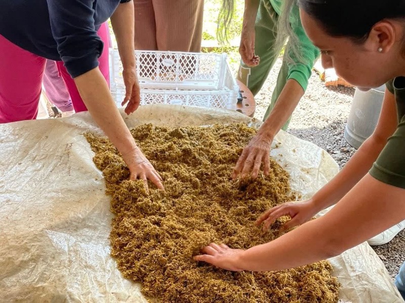 Programa AGROSANO, impulsa un nuevo capítulo sostenible para el campo en Tangancícuaro