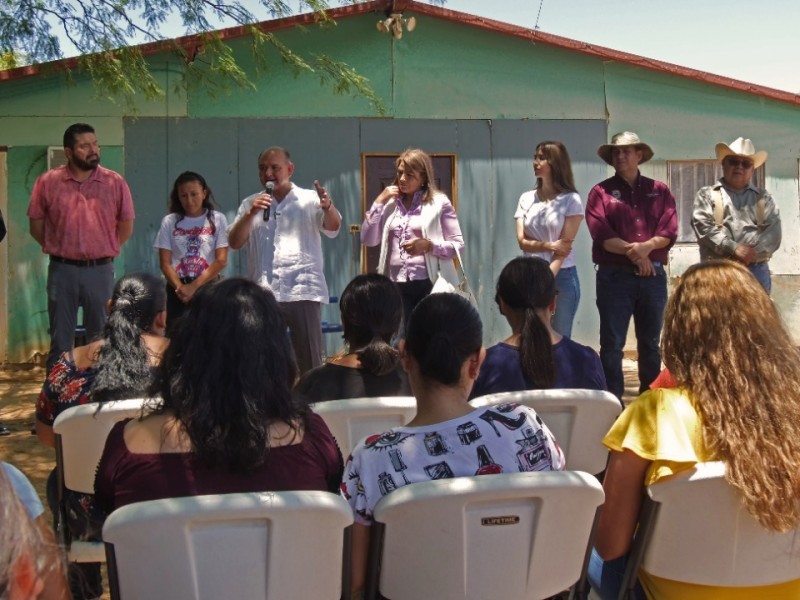 programa “Sinergia” y cursos AED en el Golfo