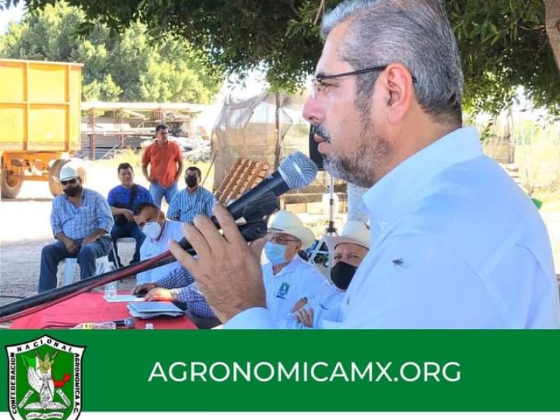 Programas federales de apoyo al campo son un fracaso: Agrónomos