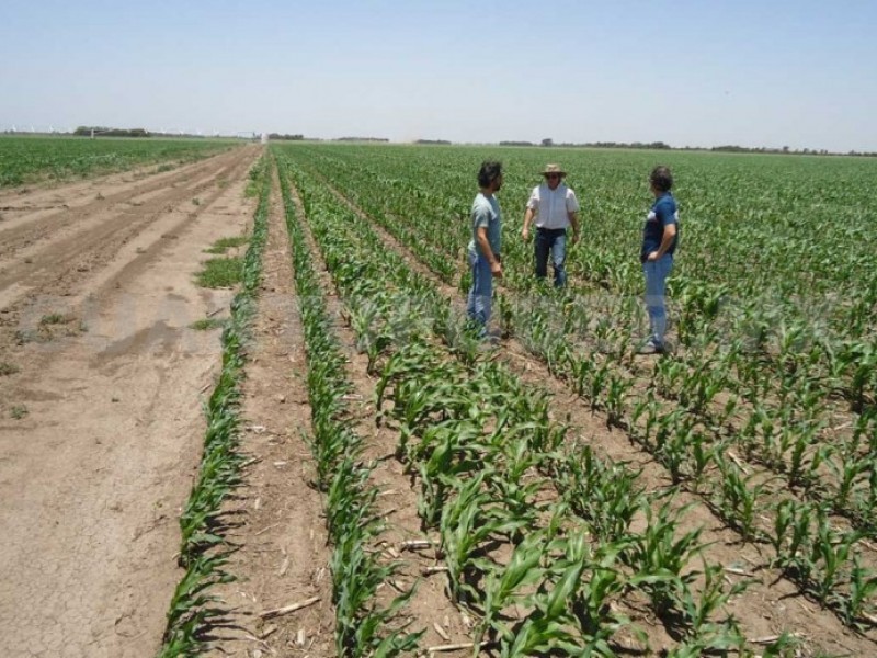 Programas para el campo detenidos en Chiapas