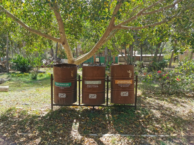 Prohíben acceso de plásticos de único uso en Parque Sinaloa