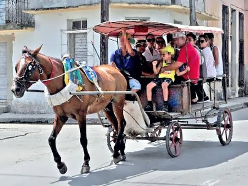 Prohíben en León vehículos de tracción animal