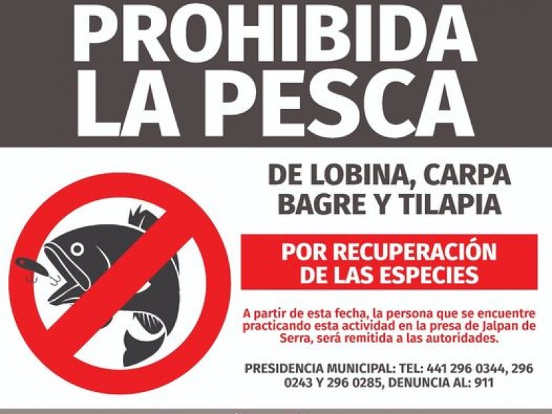 Prohíben pesca en presa de Jalpan de Serra