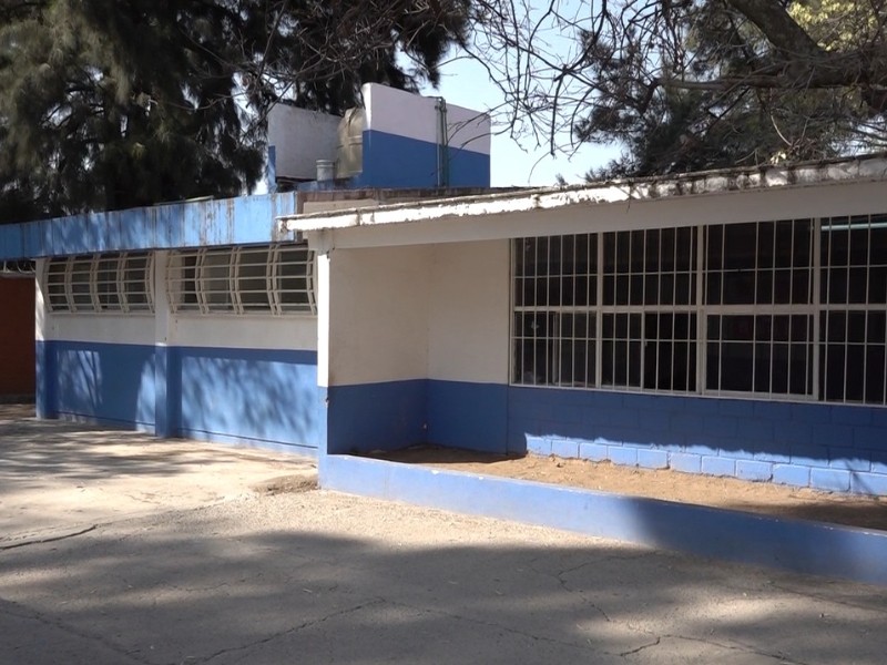 Prohibición del celular solo en algunos niveles educativos