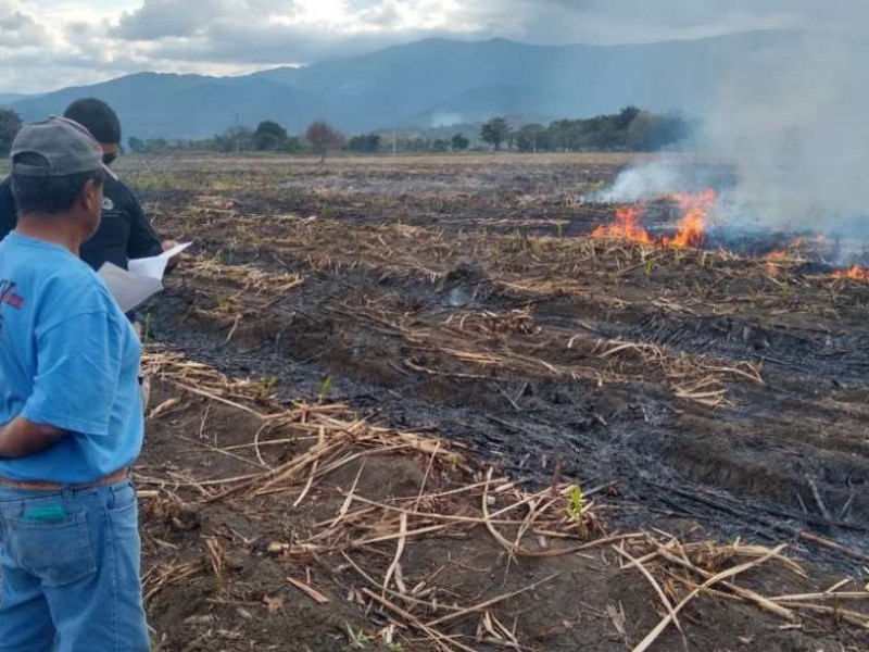 Vigilarán quemas agrícolas que incumplan protocolos